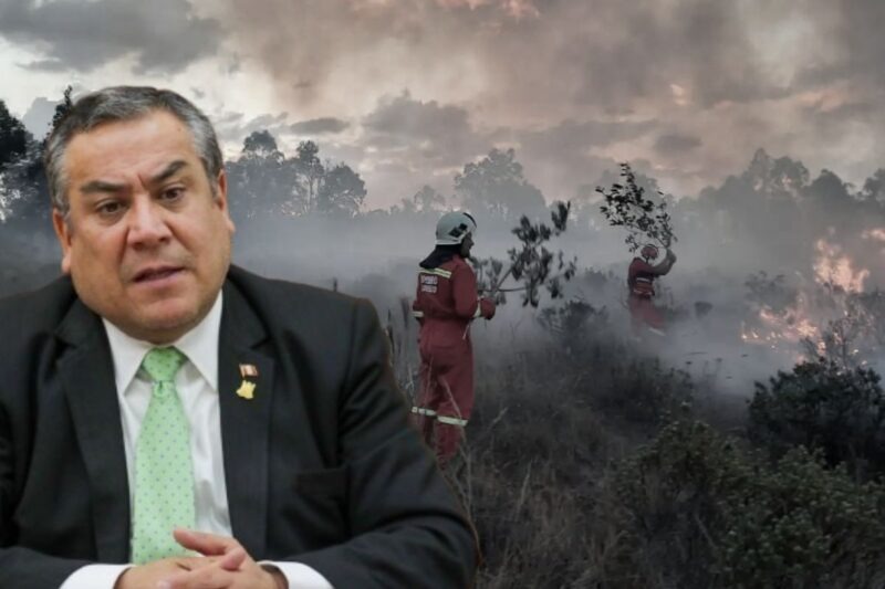 Crítica Dura a la Inacción del Ejecutivo y Legislativo Frente a los Incendios Forestales