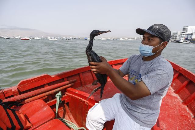 Ancón sufre pérdidas de hasta 13 millones de soles por derrame de petróleo en playas