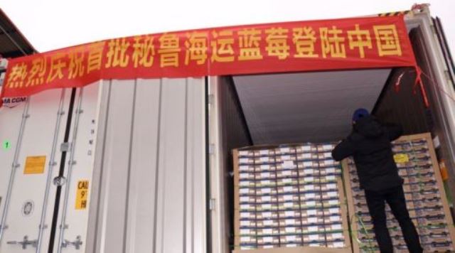China recibe primer contenedor marÃ­timo con cargamento de arÃ¡ndanos del PerÃº