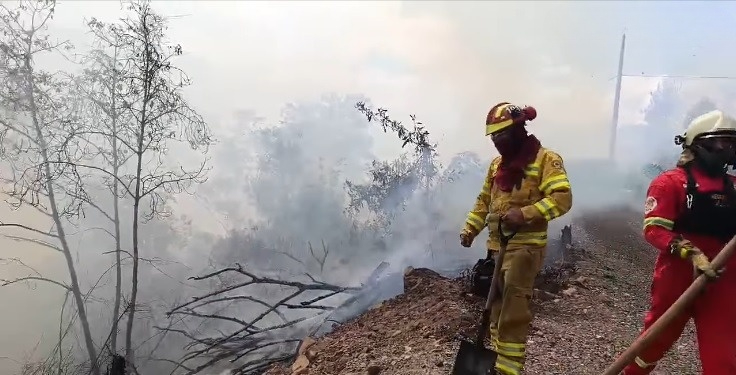 Bongará: Bomberos de Chachapoyas Acuden a San Pablo de Valera para Combatir Incendio Forestal que Amenaza Viviendas 