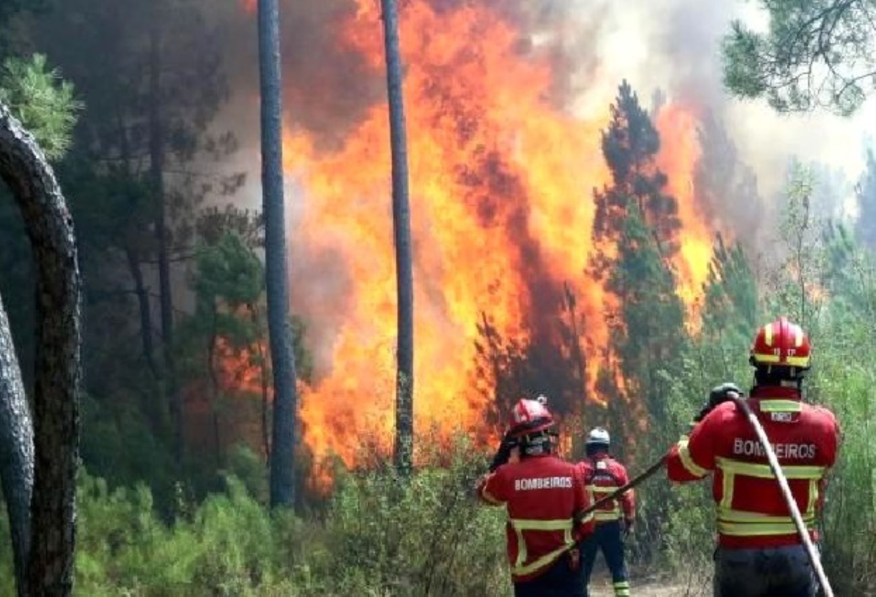 Ministerio de Cultura: incendios forestales afectaron zonas arqueológicas en 8 regiones