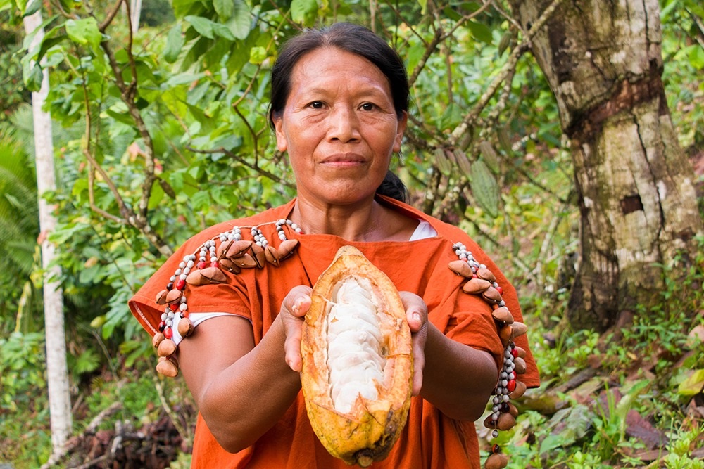 Perú ejercerá la vicepresidencia de la Organización Internacional del Cacao