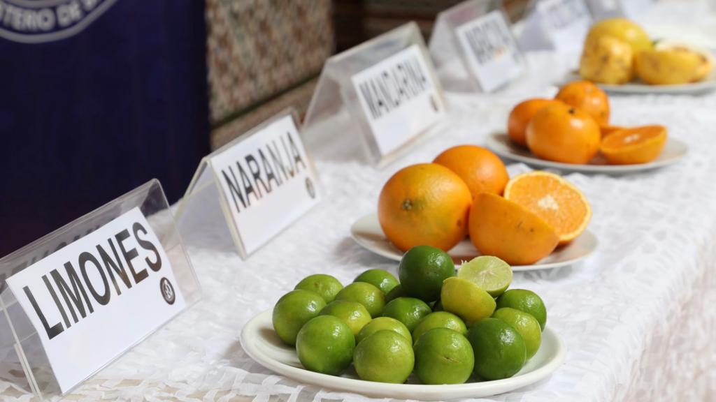 INS advierte que el Ã¡cido cÃ­trico no sustituye el aporte nutricional del limÃ³n