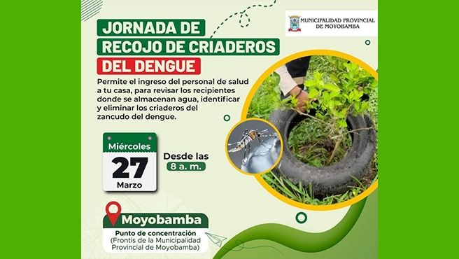 GORE San Martín y municipalidad de Moyobamba establecen campañas de identificación y eliminación de criaderos de zancudos