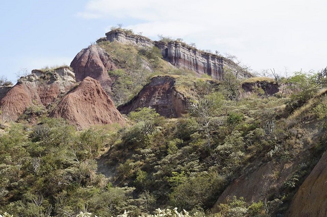 Reconocido paleontÃ³logo polaco visitÃ³ el Valle de Los Dinosaurios
