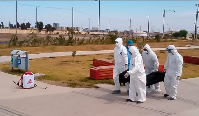 SIS garantiza la gratuidad de los servicios de inhumaciÃ³n y cremaciÃ³n de sus asegurados y personas sin seguro en condiciÃ³n de calle que fallezcan p