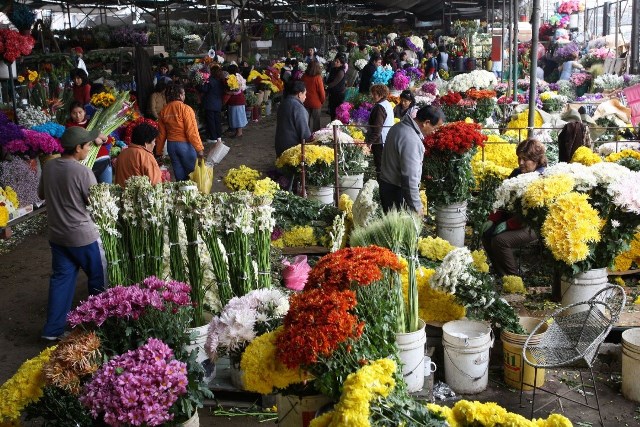 Declaran el segundo viernes de noviembre como DÃ­a Nacional de las Flores