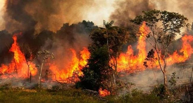 Incendios en la Amazonia es la verdadera amenaza a la Seguridad Regional