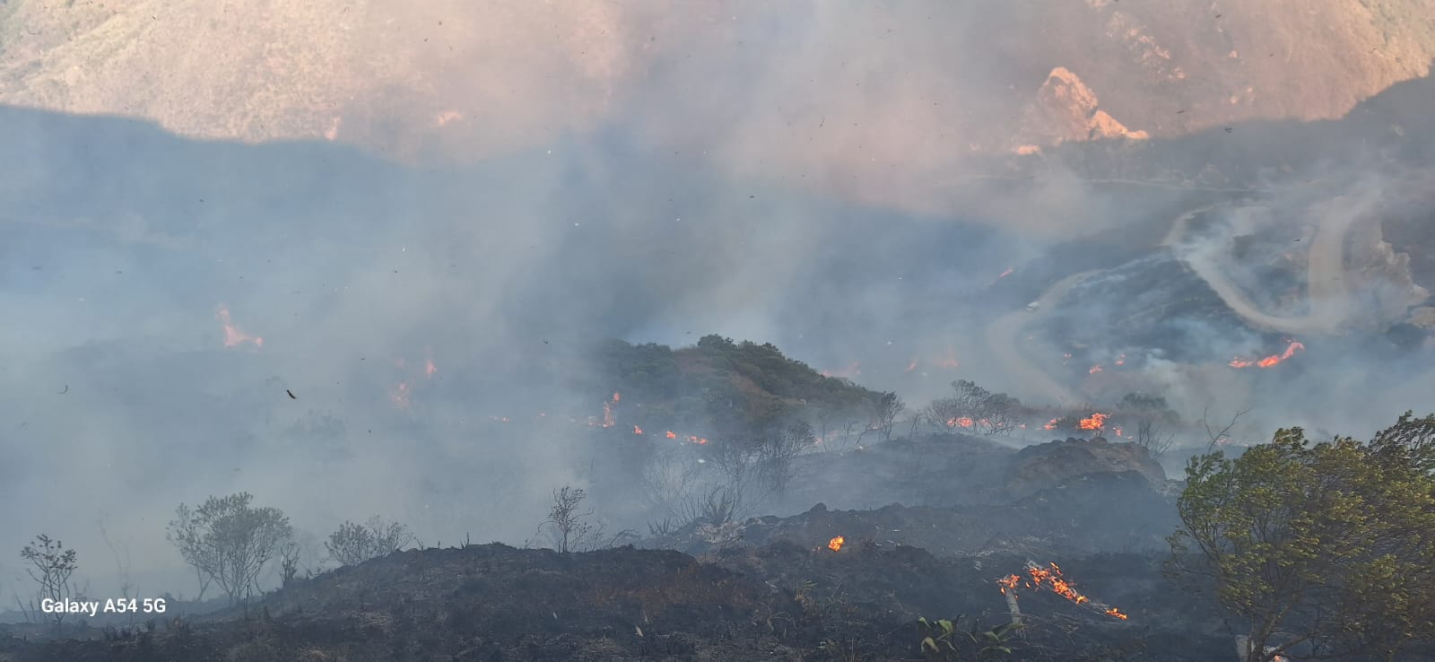 Chachapoyas Arde: Incendios Forestales Destruyen Flora y Fauna