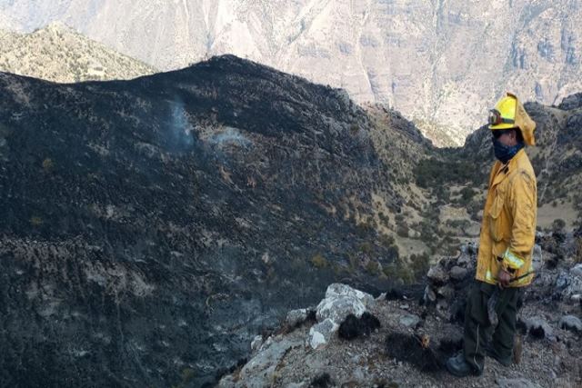 Cusco: incendio forestal destruyÃ³ mÃ¡s de 150 hectÃ¡reas de vegetaciÃ³n en Pomacanchi