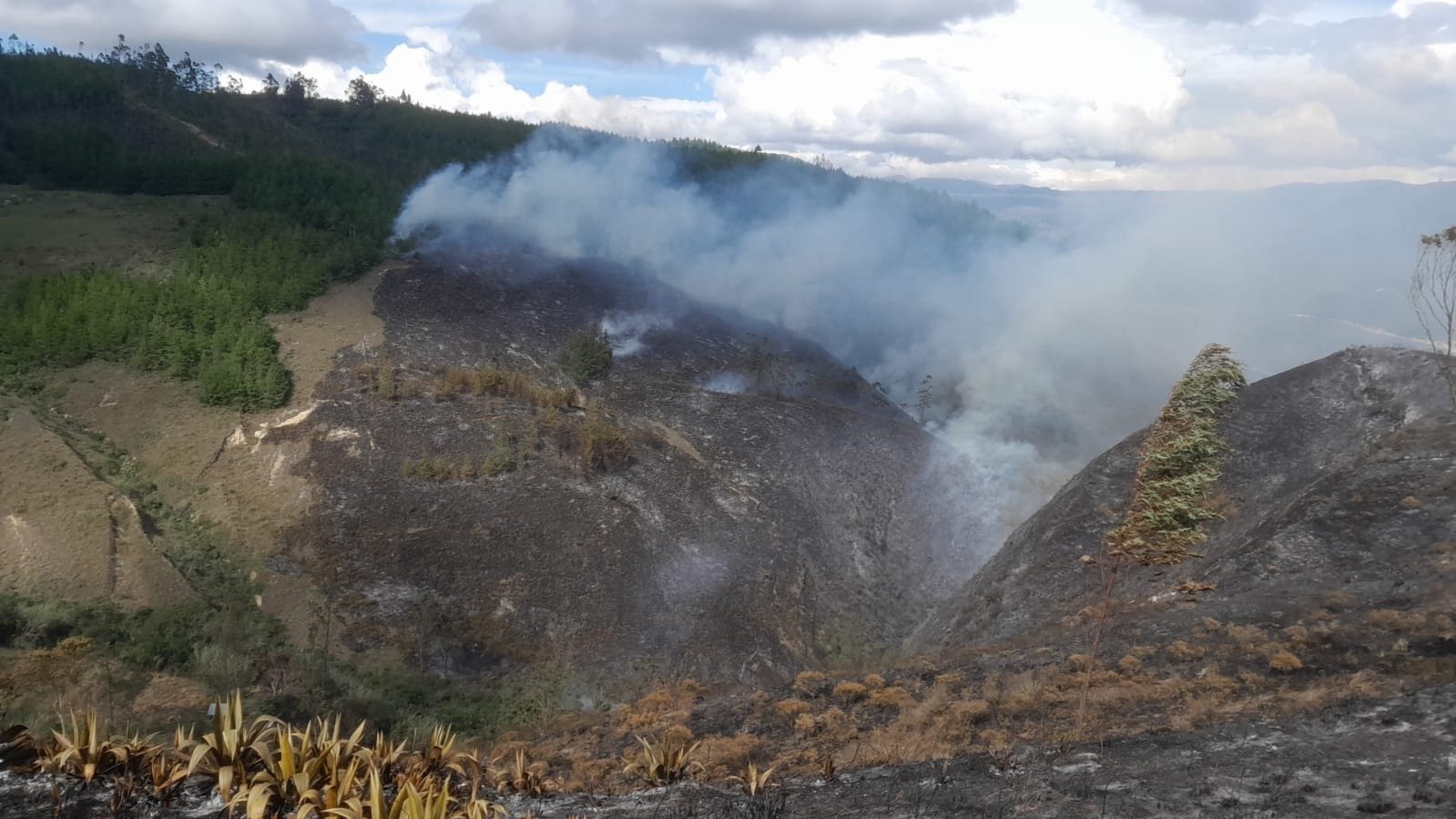 Luya: Incendio Forestal en Gualamita Alarma a la Población de Lámud y Exige Acción Urgente  