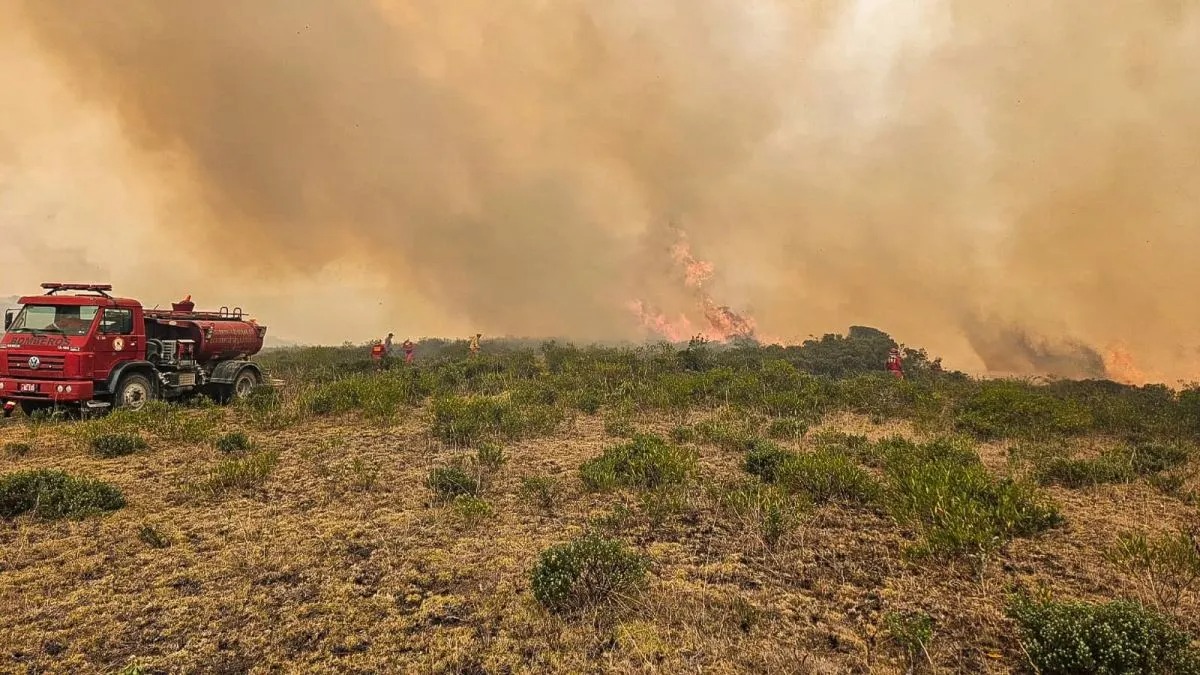 Amazonas: Más de 47 mil hectáreas de cobertura agrícola en riesgo por incendios forestales