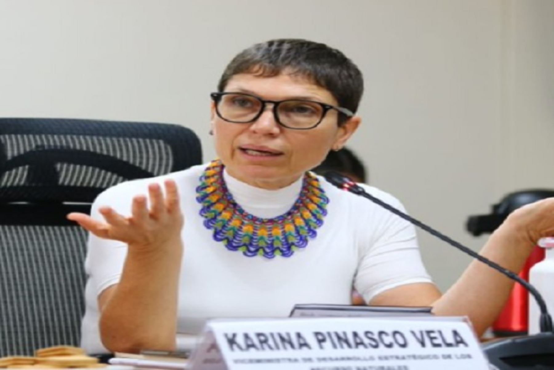 Oficializan renuncia de viceministra de Desarrollo EstratÃ©gico de los Recursos Naturales