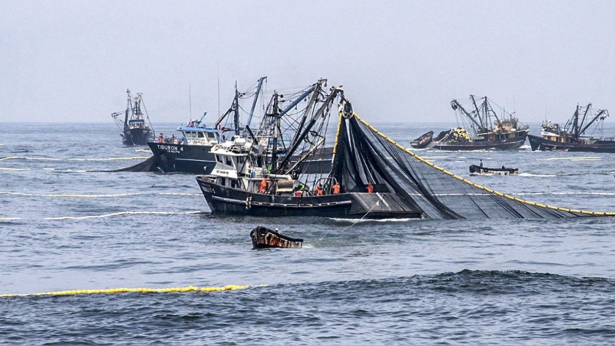Gremios empresariales rechazan firma del Tratado de Alta Mar por atentar contra soberanía nacional