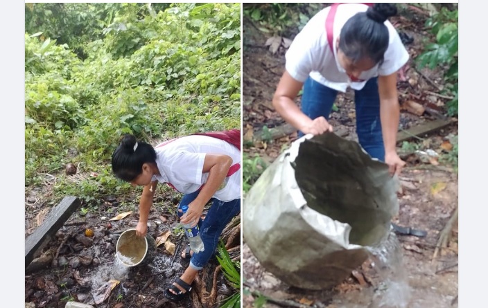 Condorcanqui: Alerta sanitaria en Urakusa: Presencia de larvas de zancudos podrÃ­a provocar brote de dengue