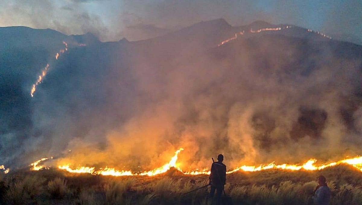 Minsa capacitó a más de 50 comunicadores de varias regiones del país sobre cómo ayudar a prevenir los incendios forestales