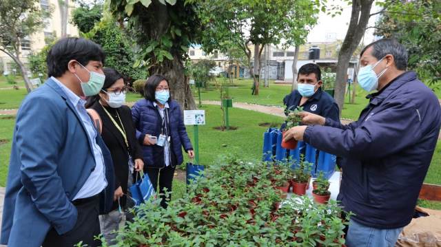 INS obsequiÃ³ 300 plantas de menta con propiedades terapÃ©uticas por sus 125 aniversario