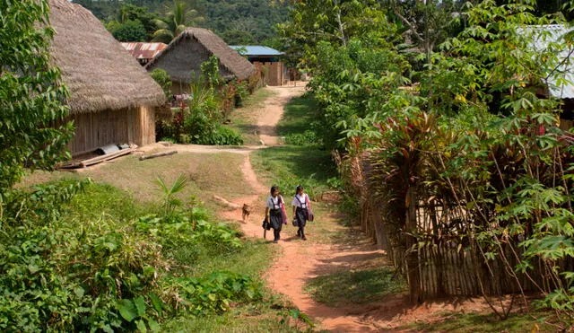 Amazonas: 532 niñas abusadas y solo 112 docentes destituidos