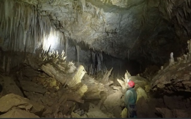 CientÃ­ficos resaltan riqueza biolÃ³gica de cuenca subterrÃ¡nea del Alto Mayo 