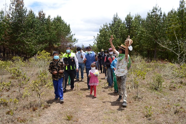 MPCH participa de reforestación en Huancas