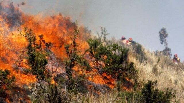 Defensa Civil: sensibilizaciÃ³n frente a posibles incendios forestales