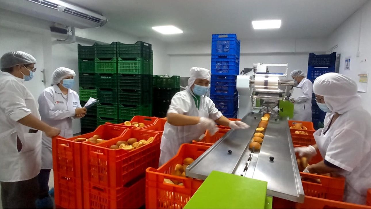 Minsa verifica condiciones sanitarias en fábricas y almacenes de alimentos industrializados