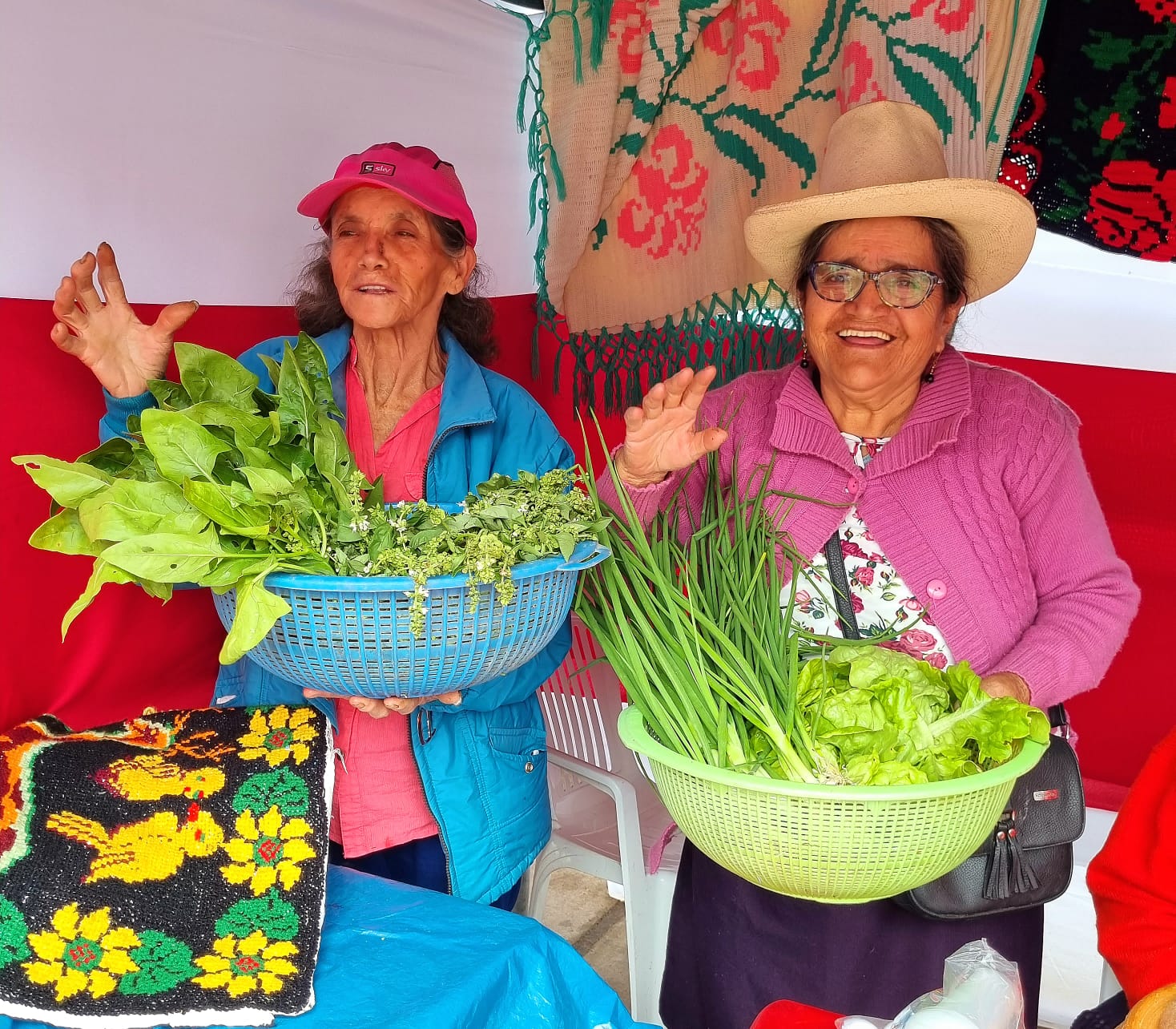 Chachapoyas: Adultos Mayores de Pensión 65 Brillan en Feria de Alimentación Saludable en San Isidro del Maino