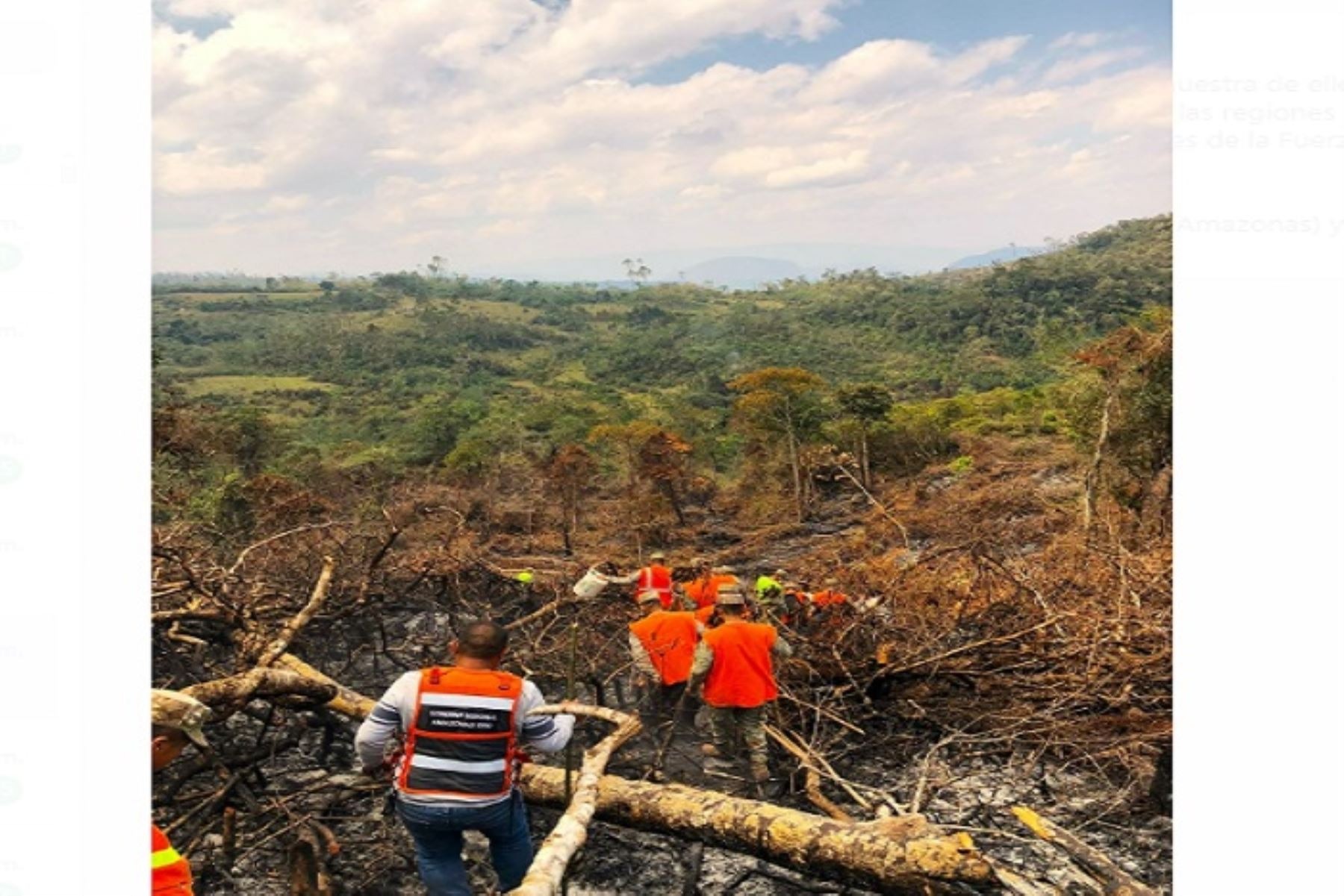 Fuerza Aérea y Ejército intensifican mitigación de incendios forestales en varias regiones