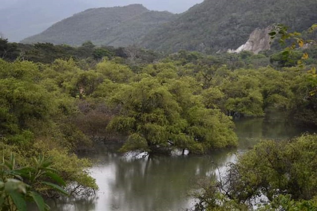 Minagri hará realidad el drenaje del Río Shocol en Rodríguez de Mendoza