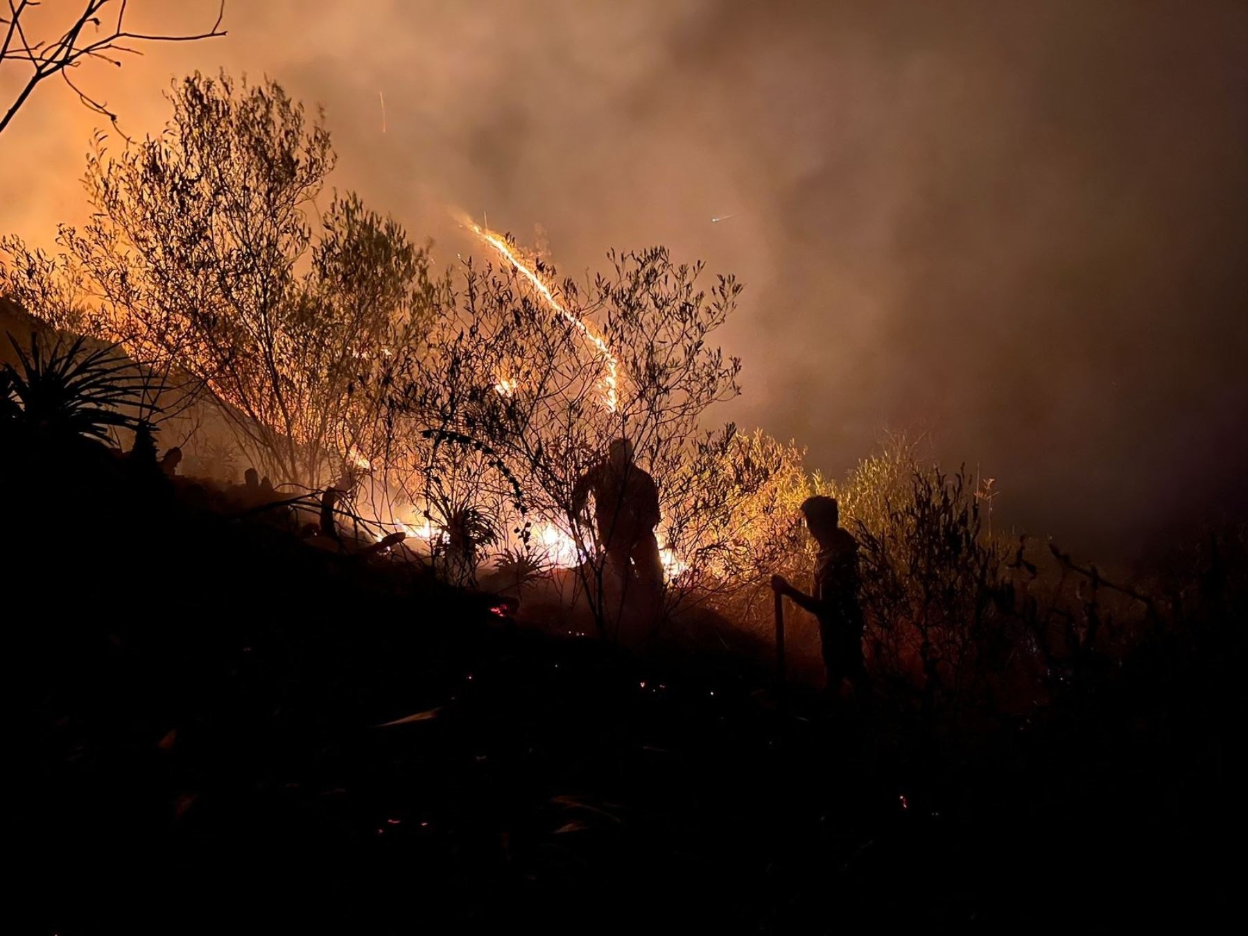 Consejo de Ministros aprueba proyecto de ley sobre prevención de incendios forestales