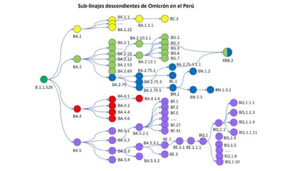 Instituto Nacional de Salud informa sobre la presencia de los linajes XBB, BQ.1, BQ.1.1, y DJ.1 relacionados con la variante ómicron