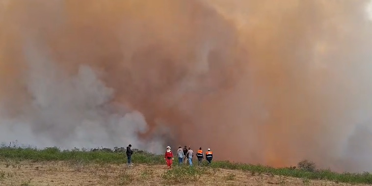 Lamud en alerta: incendios forestales se acercan a zonas pobladas sin respuesta oficial de Defensa Civil