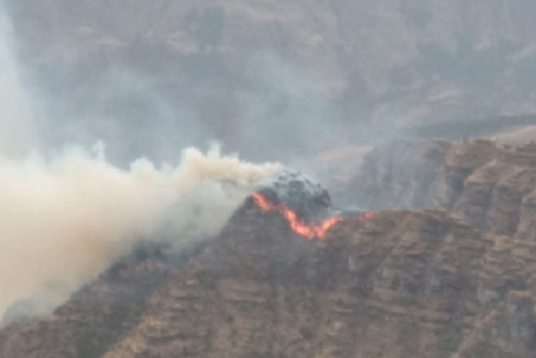 Incendio forestal afecta monumento arqueológico de Waqrapukara en el Cusco