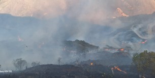 Chachapoyas Arde: Incendios Forestales Destruyen Flora y Fauna