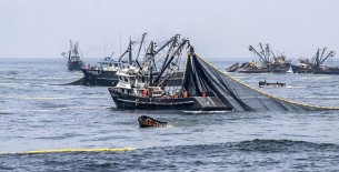 Gremios empresariales rechazan firma del Tratado de Alta Mar por atentar contra soberanía nacional