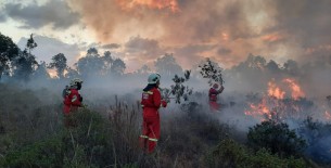 EL SICARIATO EN LOS MONTES