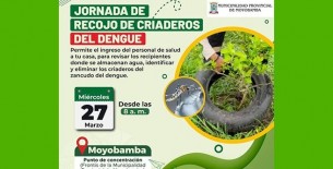 GORE San Martín y municipalidad de Moyobamba establecen campañas de identificación y eliminación de criaderos de zancudos